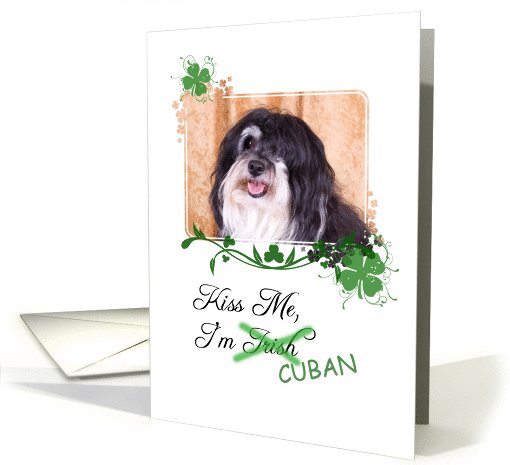 Kiss Me, I'm Irish (Cuban)! - St Patrick's Day card (773334)