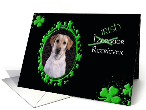 St Patrick's Greeting Card - (Irish) Labrador Retriever card (773480)