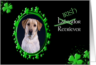 St Patrick’s Greeting Card - (Irish) Labrador Retriever card