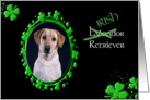 St Patrick’s Greeting Card - (Irish) Labrador Retriever card