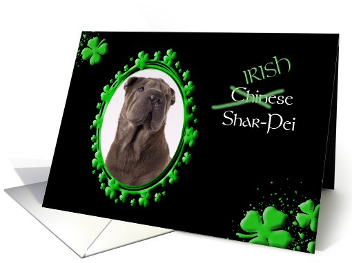 St Patrick's Greeting Card - (Irish) Chinese Shar-Pei card (773482)