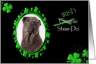 St Patrick’s Greeting Card - (Irish) Chinese Shar-Pei card