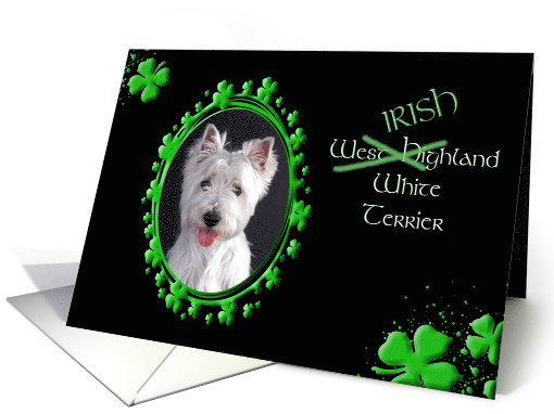 St Patrick's Greeting Card - (Irish) West Highland White Terrier card