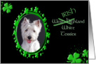 St Patrick’s Greeting Card - (Irish) West Highland White Terrier card