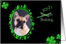 St Patrick’s Greeting Card - (Irish) French Bulldog card