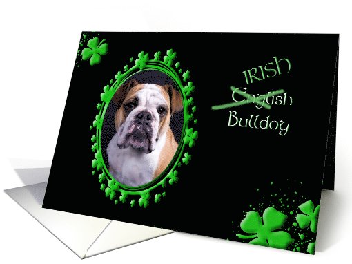St Patrick's Greeting Card - (Irish) English Bulldog card (773487)