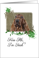 Kiss Me, I'm Irish! ...