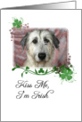 Kiss Me, I’m Irish! - St Patrick’s Day card