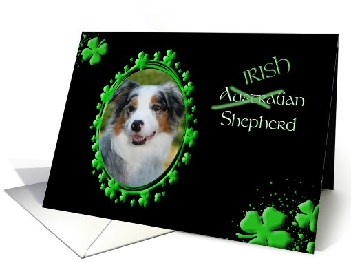 St Patrick's Greeting Card - (Irish) Australian Shepherd card (774685)
