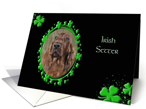 St Patrick's Greeting Card - Irish Setter card (774687)