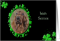 St Patrick’s Greeting Card - Irish Setter card