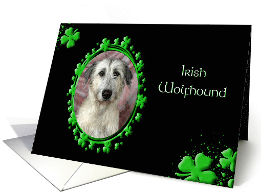 St Patrick's Greeting Card - Irish Wolfhound card (774689)