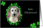 St Patrick’s Greeting Card - Irish Wolfhound card