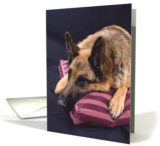 Missing You Greeting Card - featuring a German Shepherd Dog card