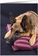 Missing You Greeting Card - featuring a German Shepherd Dog card