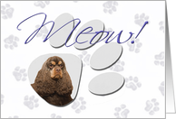 April Fool’s Day Greeting - featuring a chocolate/tan American Cocker Spaniel card