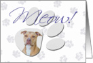 April Fool’s Day Greeting - featuring an American Staffordshire Terrier card