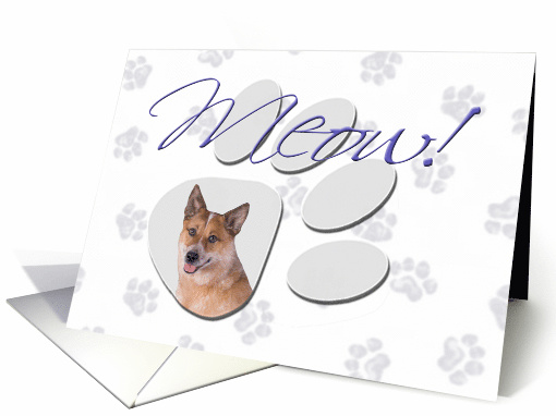 April Fool's Day Greeting - featuring a red Australian Cattle Dog card