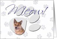 April Fool’s Day Greeting - featuring a red Australian Cattle Dog card