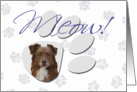 April Fool’s Day Greeting - featuring a red Australian Shepherd card