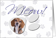 April Fool’s Day Greeting - featuring a Beagle card
