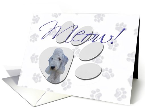April Fool's Day Greeting - featuring a Bedlington Terrier card