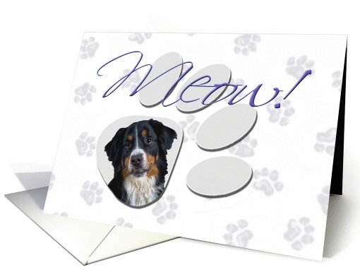 April Fool's Day Greeting - featuring a Bernese Mountain Dog card