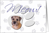April Fool’s Day Greeting - featuring a Border Terrier card
