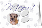 April Fool’s Day Greeting - featuring a Border Terrier card