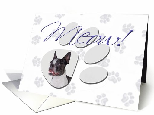 April Fool's Day Greeting - featuring a Boston Terrier card (776539)