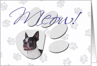 April Fool’s Day Greeting - featuring a Boston Terrier card