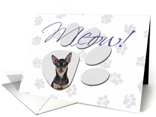 April Fool's Day Greeting - featuring a black and tan Chihuahua card