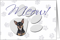 April Fool’s Day Greeting - featuring a black and tan Chihuahua card