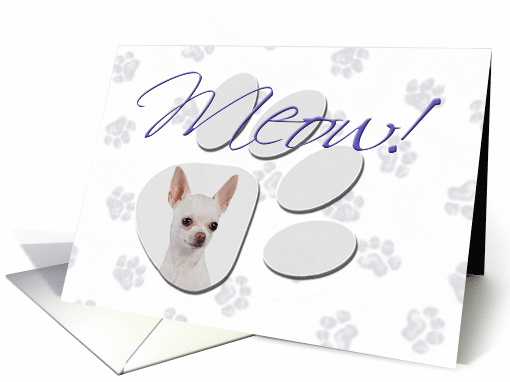 April Fool's Day Greeting - featuring a white Chihuahua card (776868)