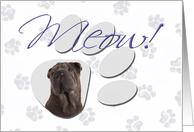 April Fool’s Day Greeting - featuring a Chinese Shar-Pei card