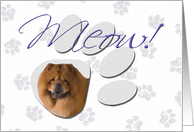 April Fool’s Day Greeting - featuring a Chow Chow card