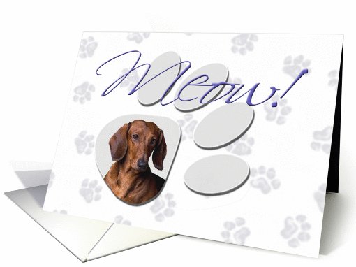 April Fool's Day Greeting - featuring a red Dachshund card (777060)
