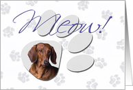 April Fool’s Day Greeting - featuring a red Dachshund card