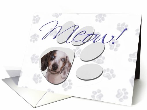 April Fool's Day Greeting - featuring a tri colored Dachshund card