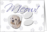 April Fool’s Day Greeting - featuring a Dandie Dinmont Terrier card