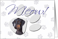 April Fool’s Day Greeting - featuring a Doberman Pinscher with natural drop ears card