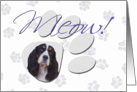 April Fool’s Day Greeting - featuring a black/white tri English Springer Spaniel card