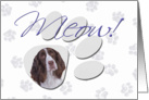 April Fool’s Day Greeting - featuring a liver and white English Springer Spaniel card