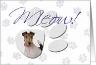 April Fool’s Day Greeting - featuring a Wire Fox Terrier card