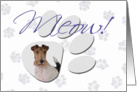 April Fool’s Day Greeting - featuring a Wire Fox Terrier card
