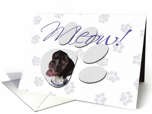 April Fool's Day Greeting - featuring a German Shorthair Pointer card