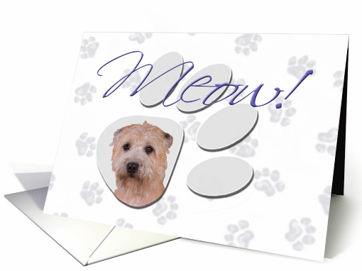 April Fool's Day Greeting - featuring a Glen of Imaal Terrier card