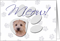 April Fool’s Day Greeting - featuring a Glen of Imaal Terrier card