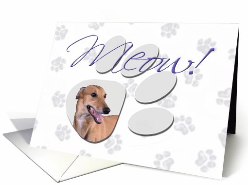 April Fool's Day Greeting - featuring a Greyhound card (778335)