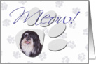 April Fool’s Day Greeting - featuring a Havanese card